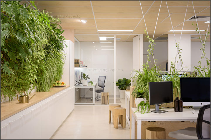 Leafy office interior in Dandenong South, Victoria.