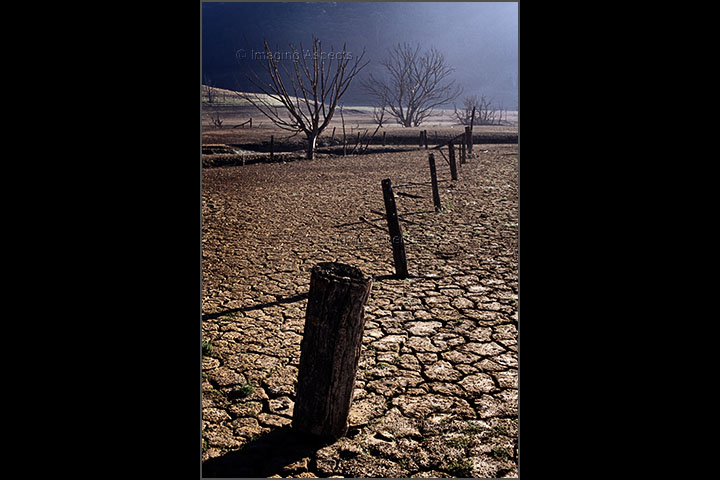 Dry lakebed and a section of the old Merlo Homestead fence line in Lake Eildon National Park, Victoria.