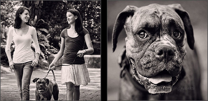 Two sisters walk their boxer dog in Fort Canning Park, Singapore.